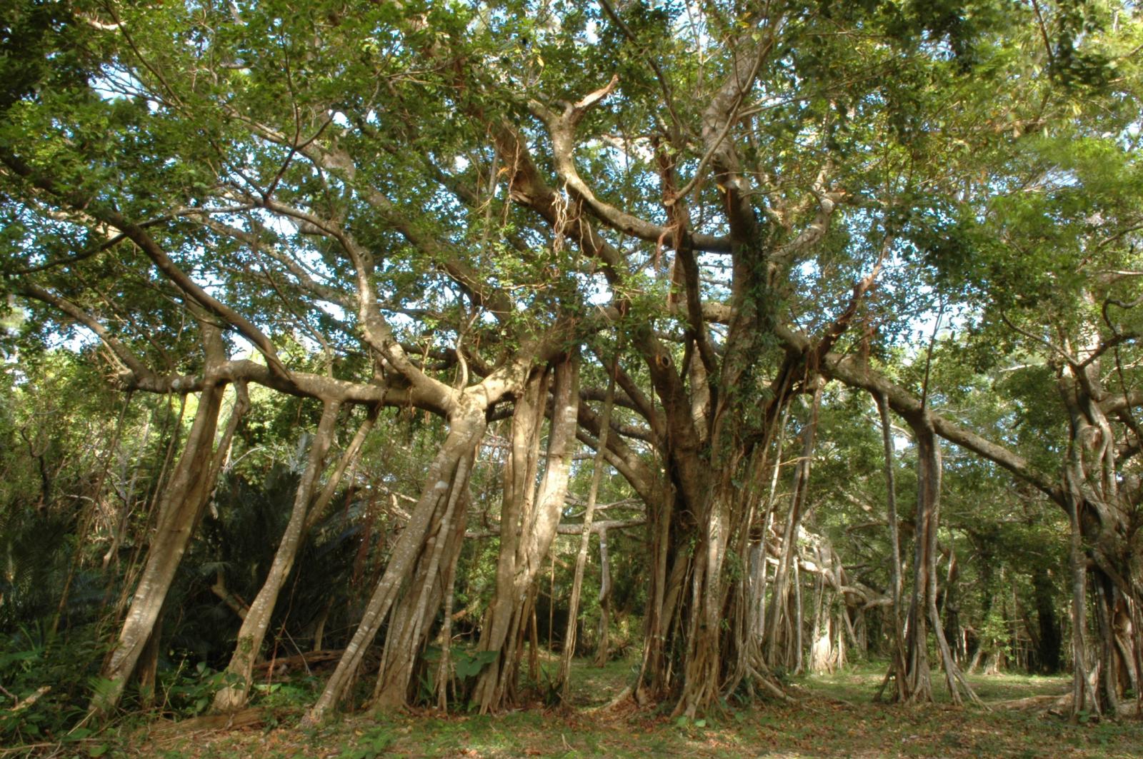 恆春研究中心簡介